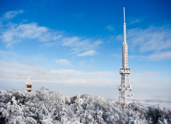 Telecommunication antennas